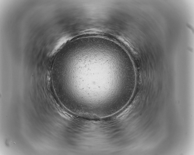 X0000095541355200712281534