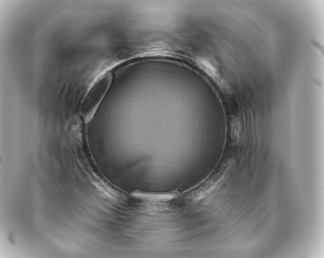 X0000095541356200712281534