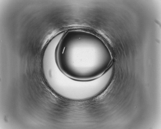 X0000095541357200712281534