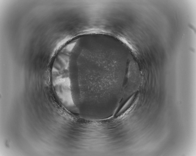 X0000095541358200712281534