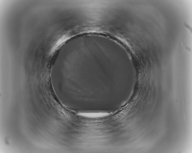 X0000095541359200712281534