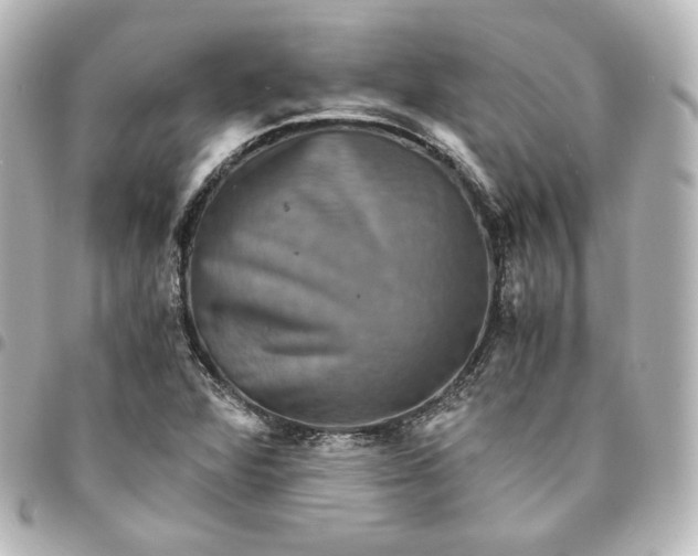 X0000095541360200712281534