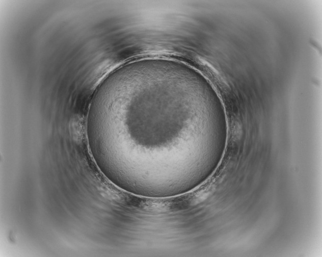 X0000095541361200712281534