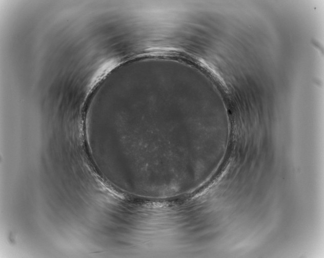 X0000095541362200712281534