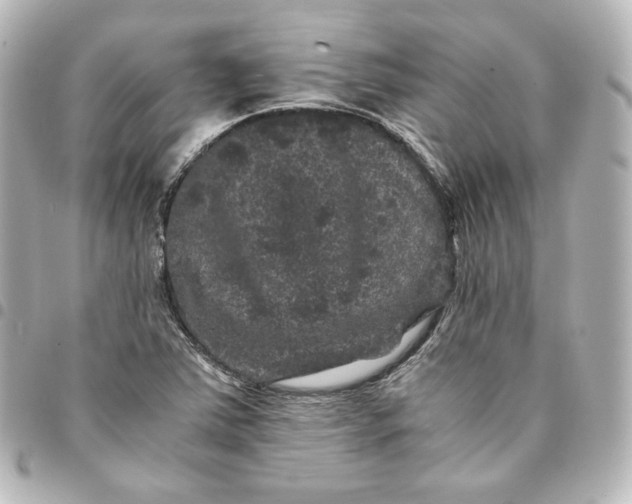 X0000095541363200712281534