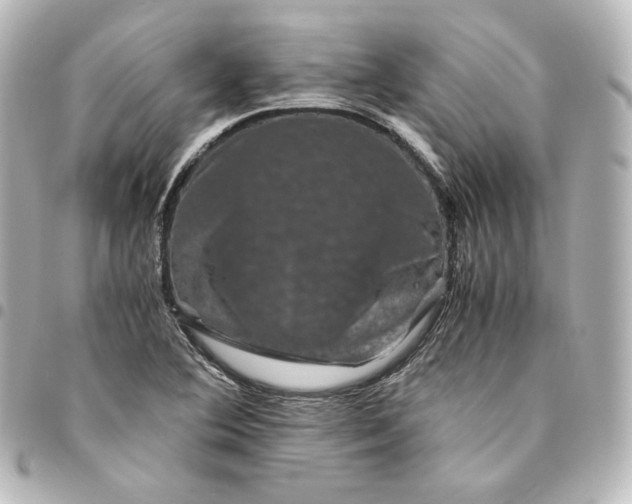 X0000095541364200712281534