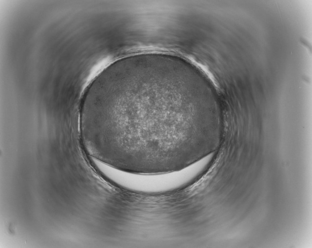 X0000095541365200712281534