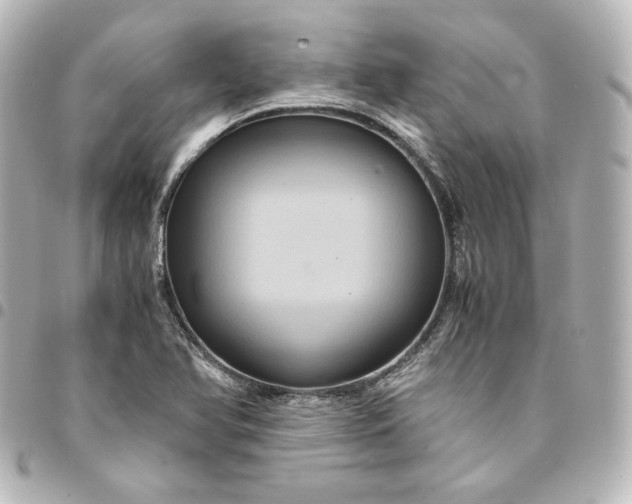 X0000095541366200712281534