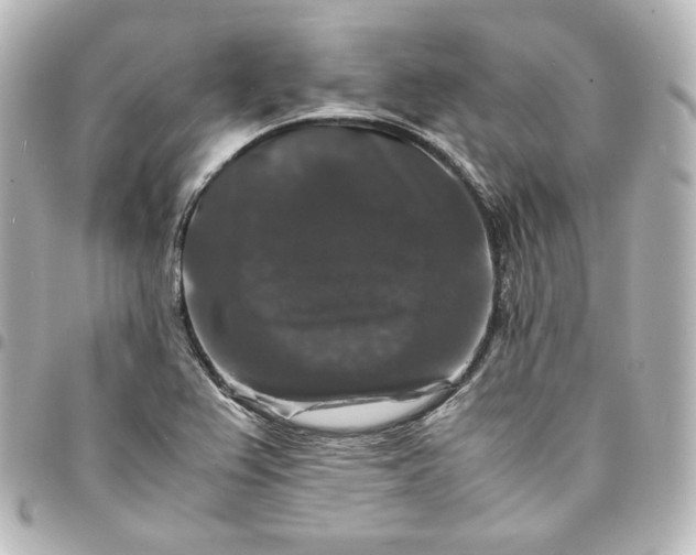 X0000095541367200712281534