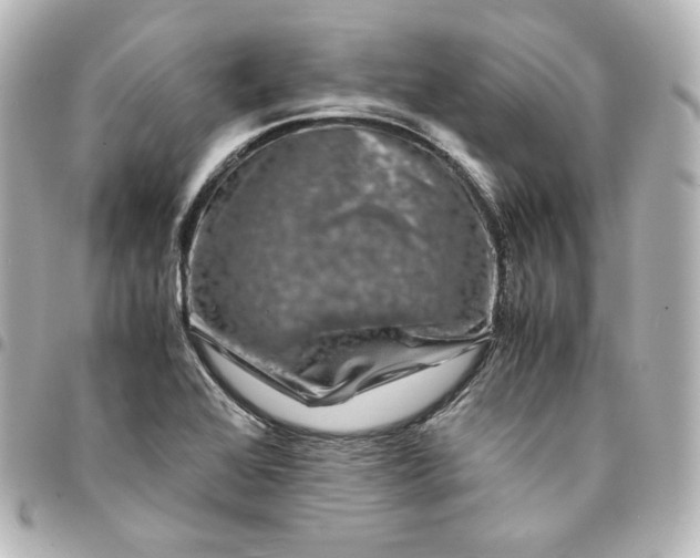 X0000095541368200712281534