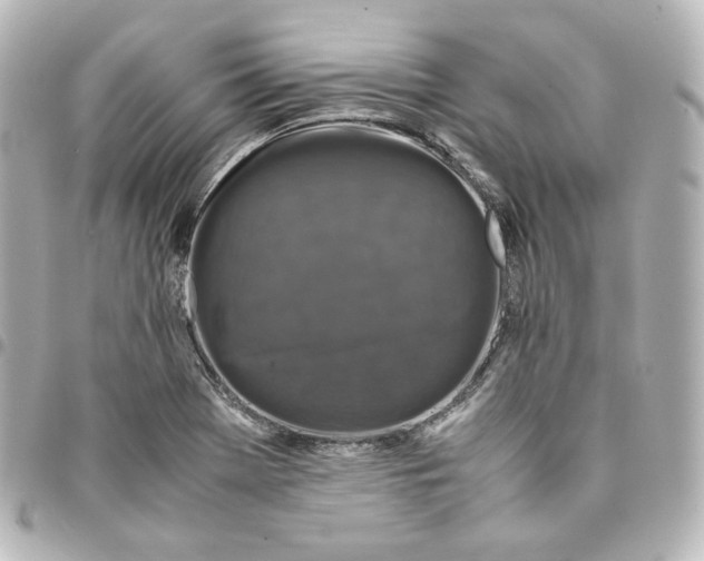 X0000095541369200712281534