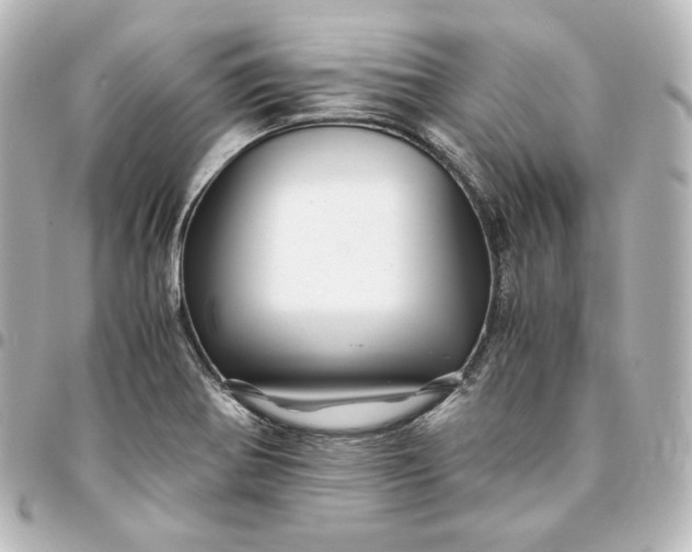 X0000095541370200712281534