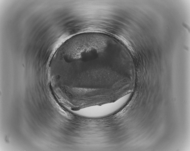 X0000095541371200712281534