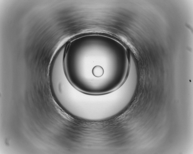 X0000095541372200712281534