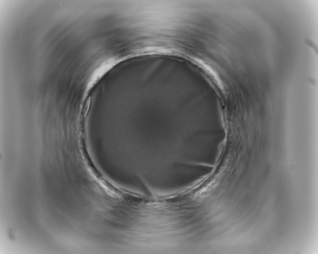 X0000095541373200712281534