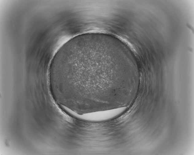 X0000095541375200712281534