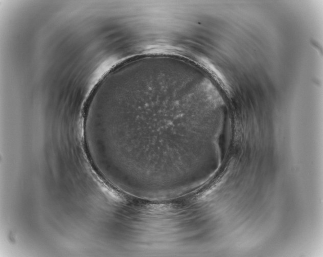 X0000095541376200712281534