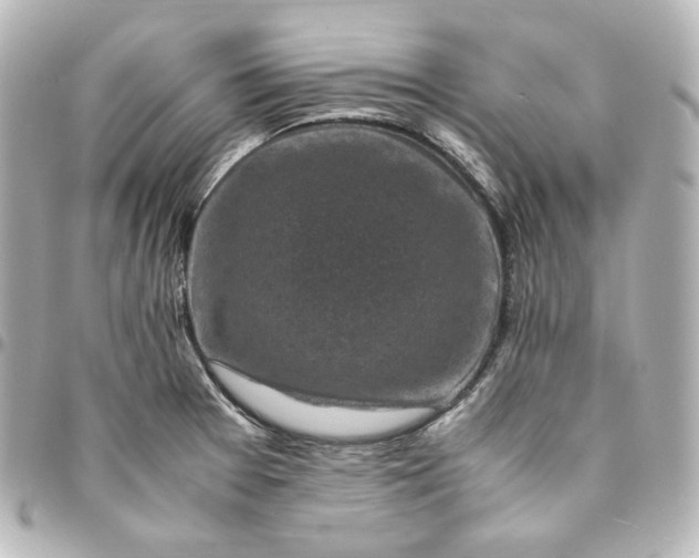 X0000095541377200712281534