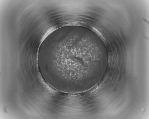 X0000095541378200712281534