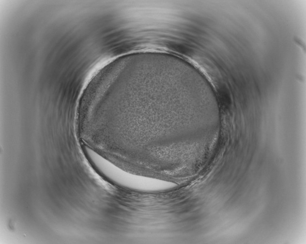 X0000095541379200712281534