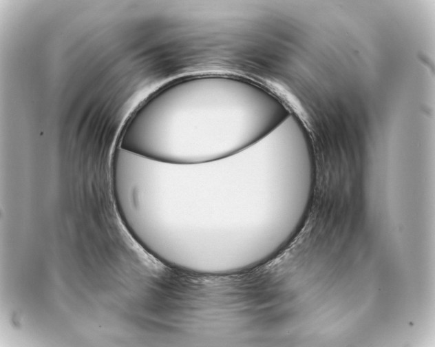 X0000095541380200712281534