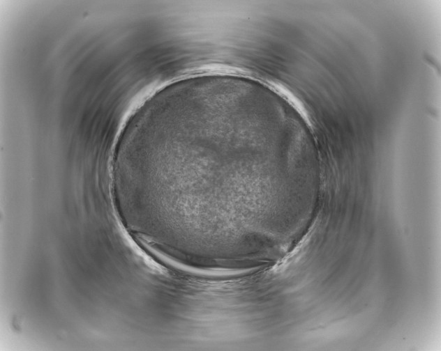 X0000095541381200712281534