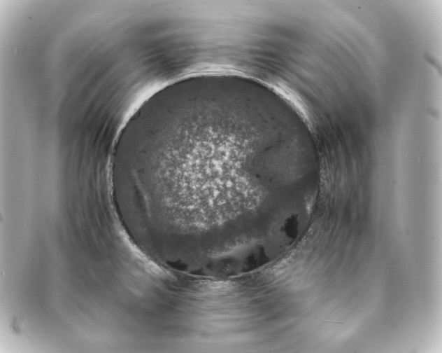 X0000095541382200712281534