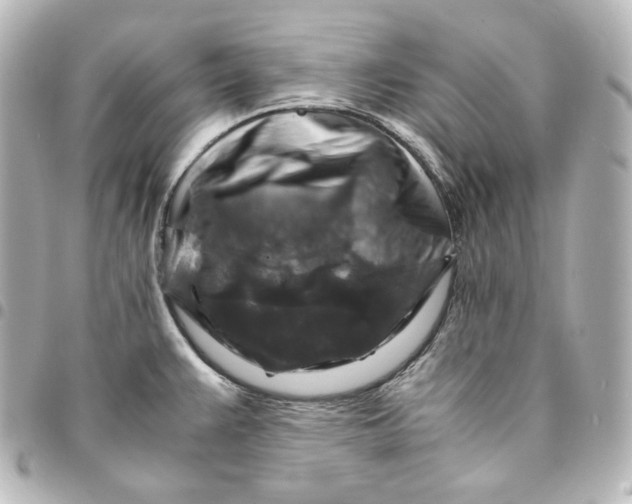 X0000095541383200712281534