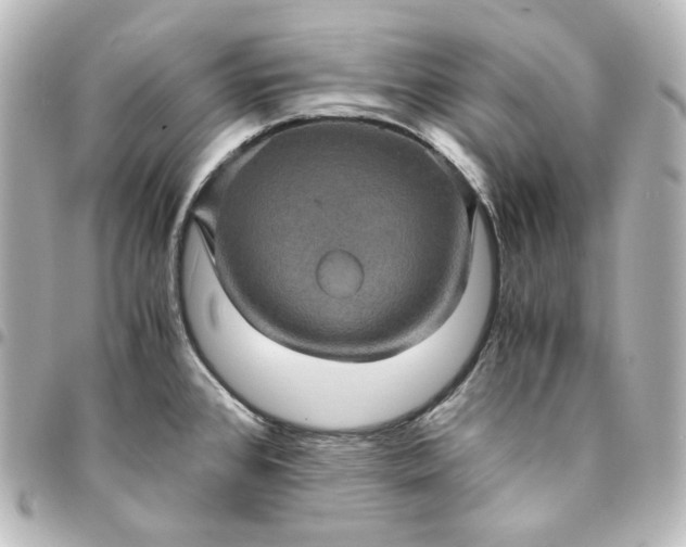 X0000095541384200712281534