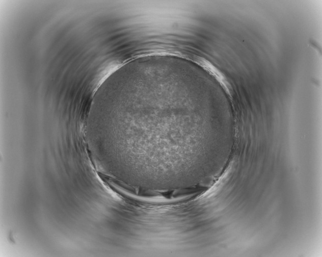 X0000095541385200712281534