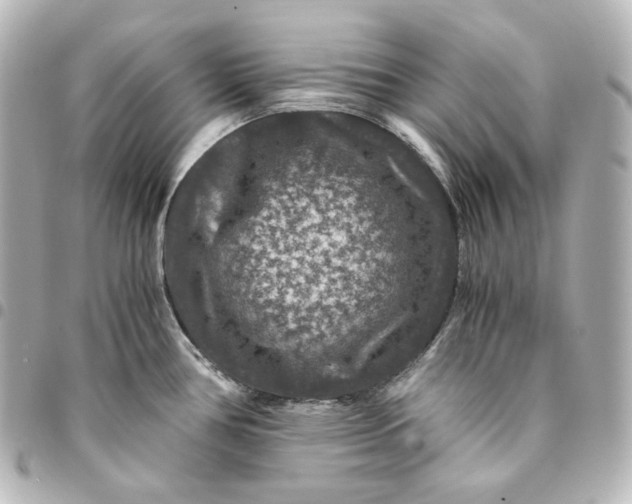 X0000095541386200712281534