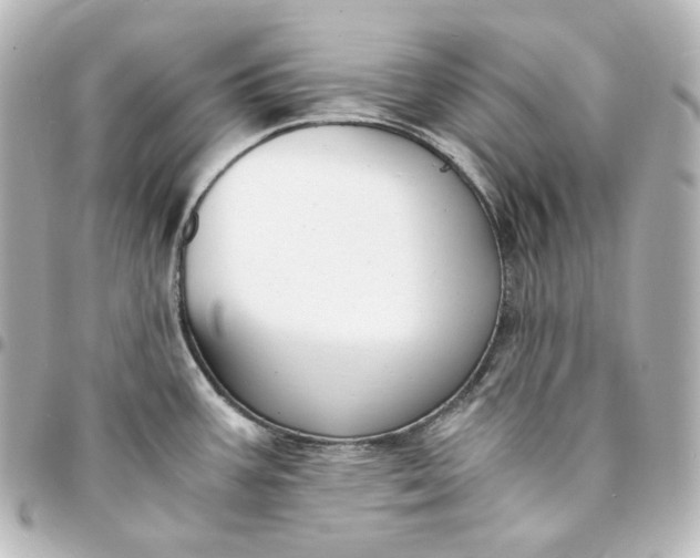 X0000095541387200712281534