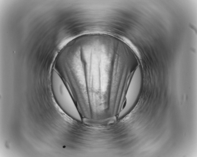 X0000095541388200712281534