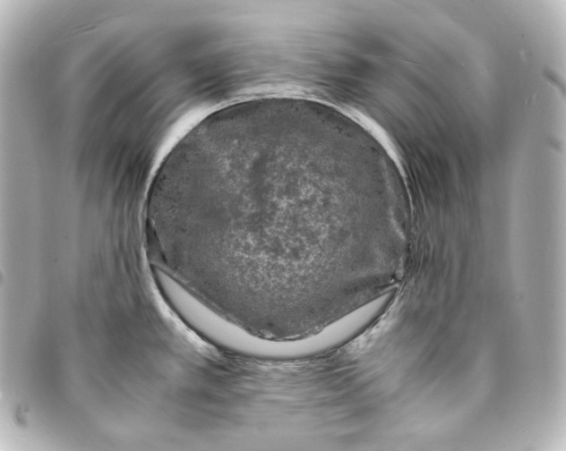 X0000095541389200712281534