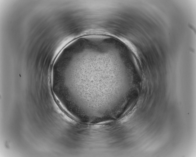 X0000095541390200712281534