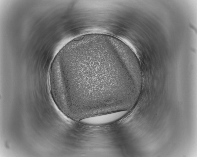 X0000095541391200712281534