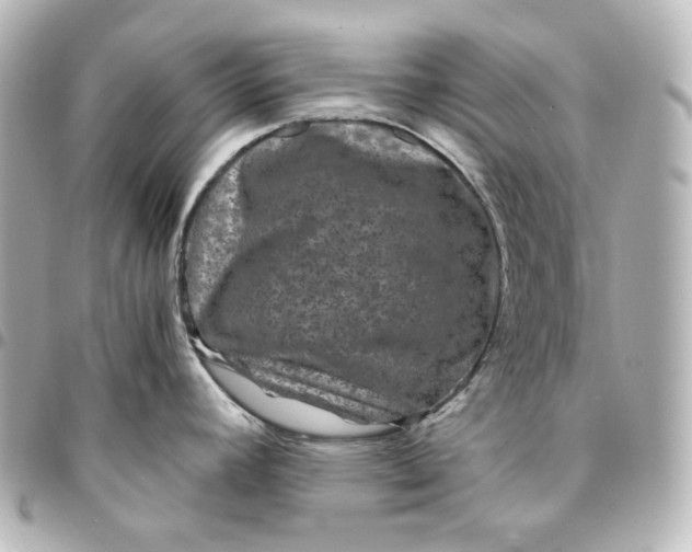 X0000095541392200712281534