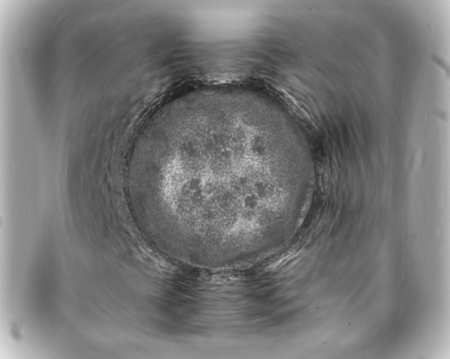 X0000095541393200712281533