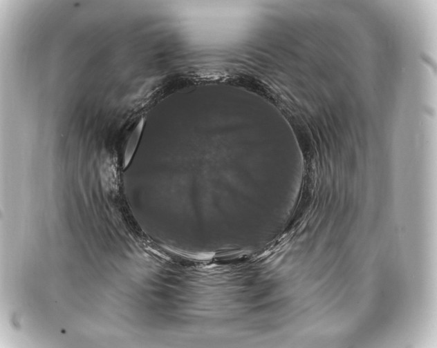 X0000095541394200712281533