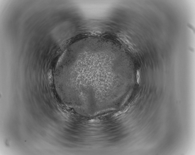 X0000095541395200712281533