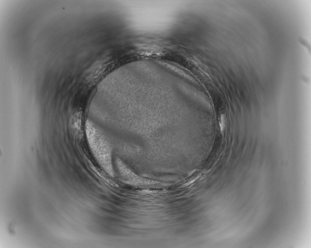 X0000095541396200712281533