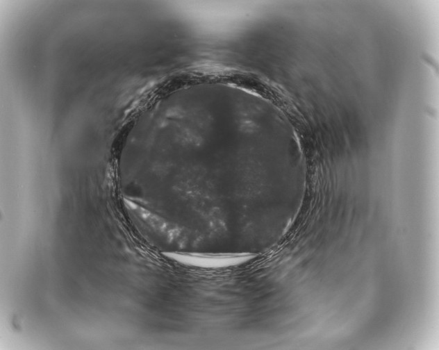 X0000095541397200712281533