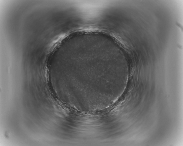 X0000095541398200712281533