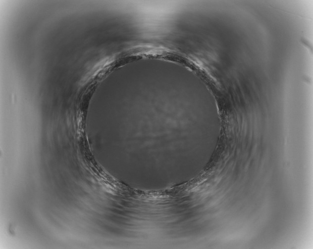 X0000095541399200712281533