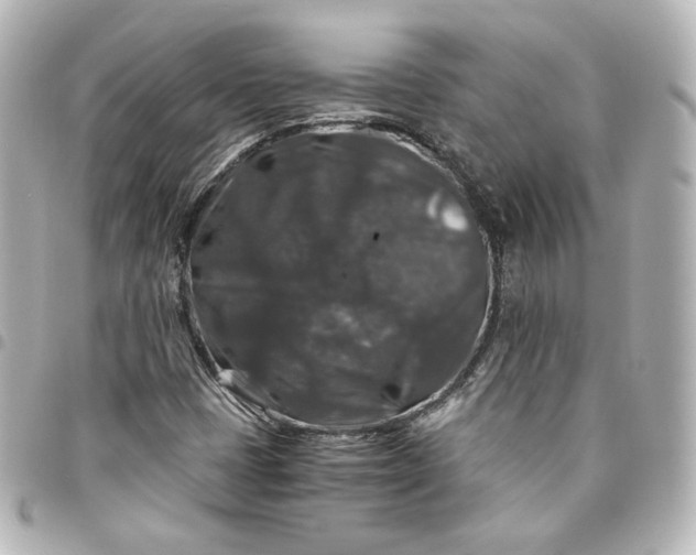 X0000095541401200712281533