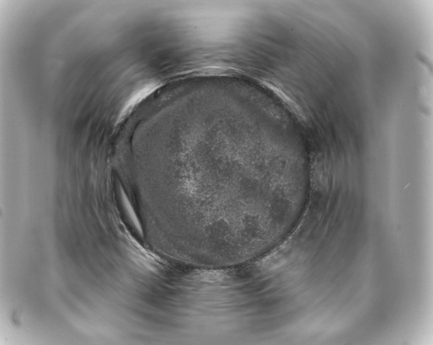 X0000095541402200712281533