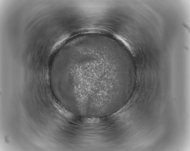 X0000095541403200712281533