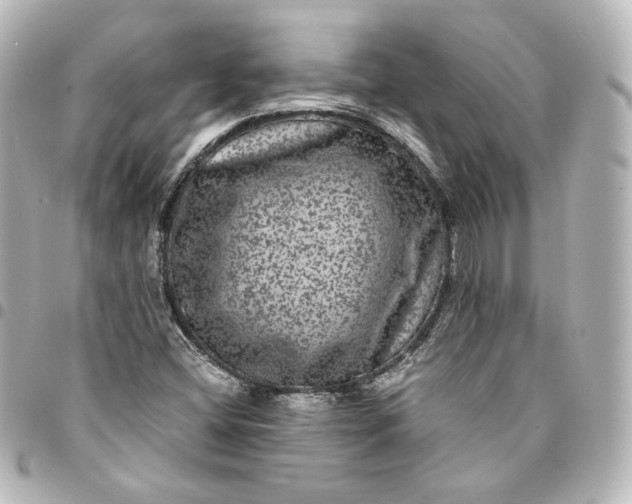 X0000095541404200712281533