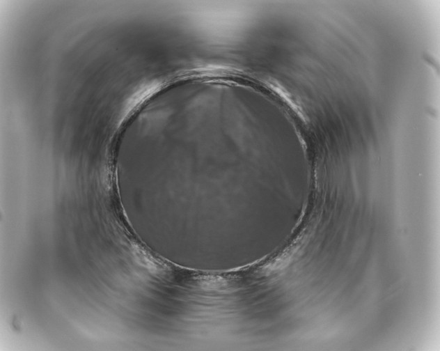 X0000095541405200712281533