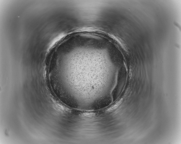 X0000095541406200712281533